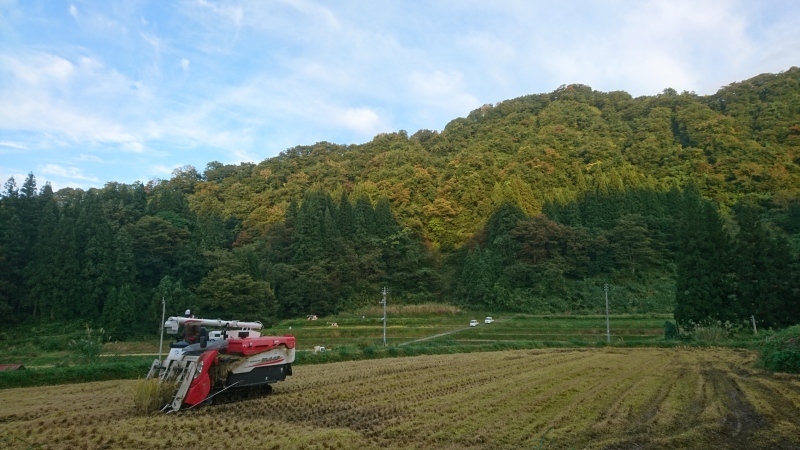 ブログ画像：大島農業